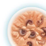 فیله سالمون و اختاپوس در ژله - تصویر 4